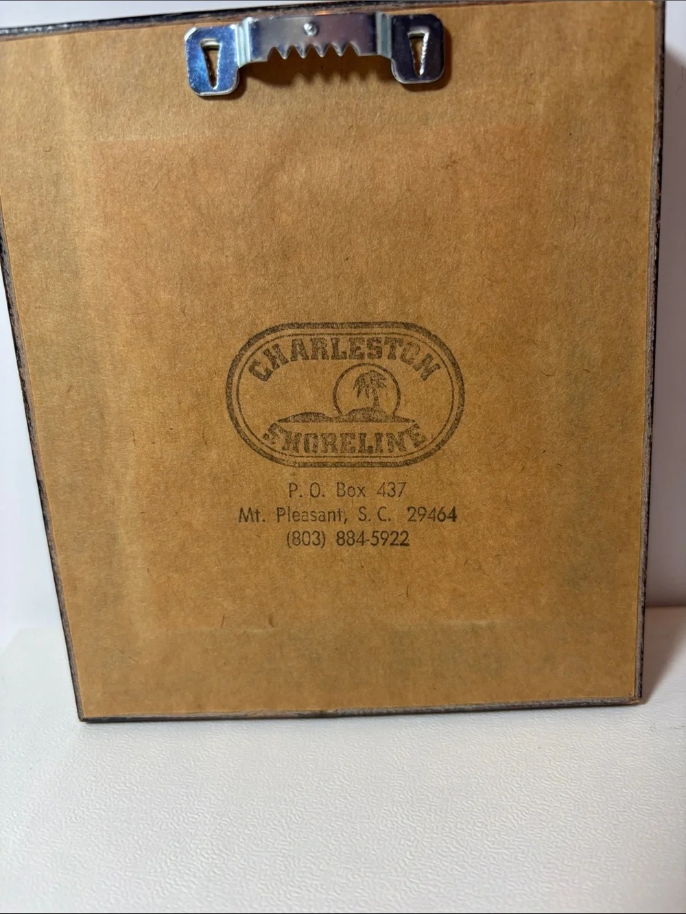 Framed South Carolina Stamp Wall Accent in Green and Brown
